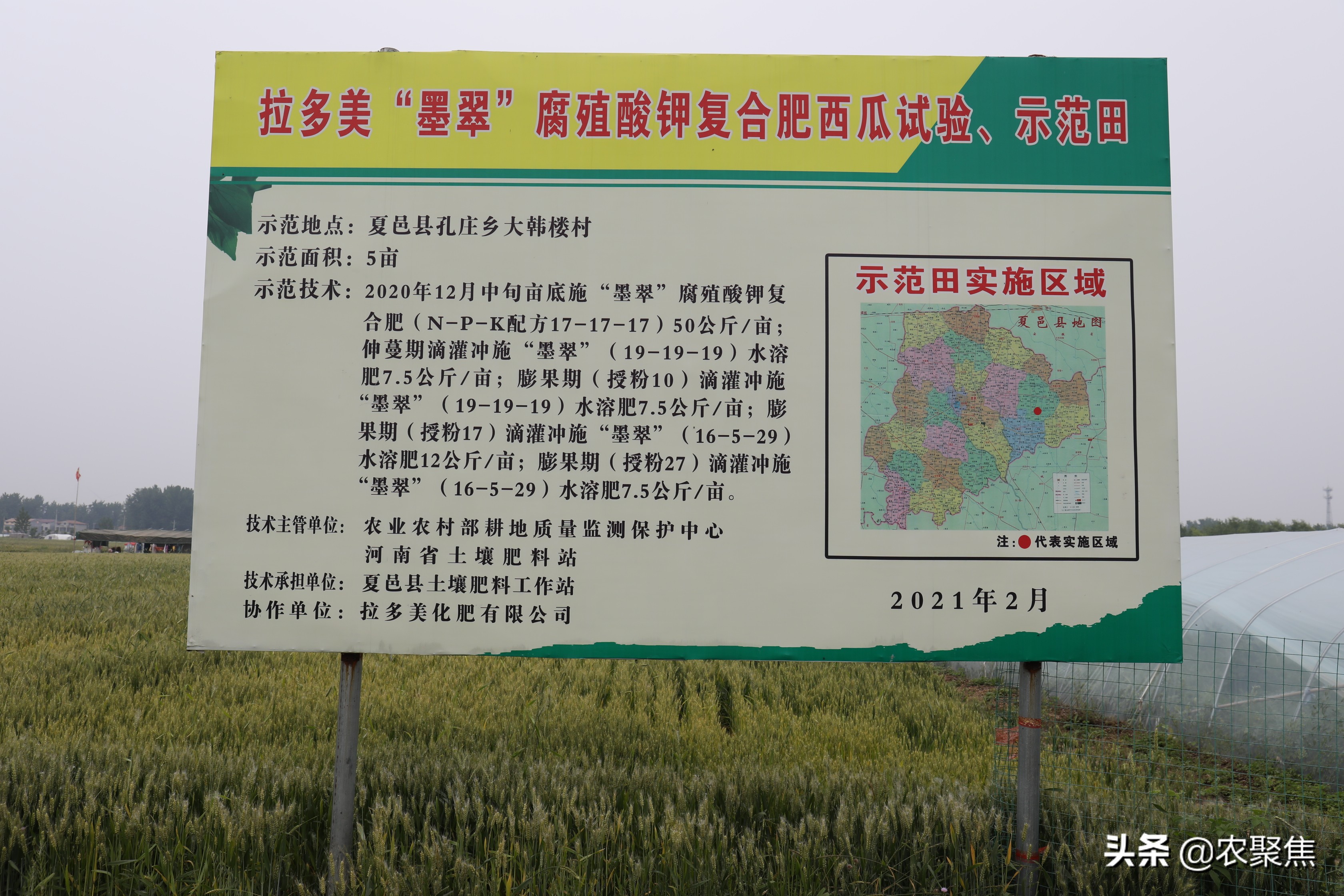 打造全球腐植酸钾肥料头部企业，拉多美这么做