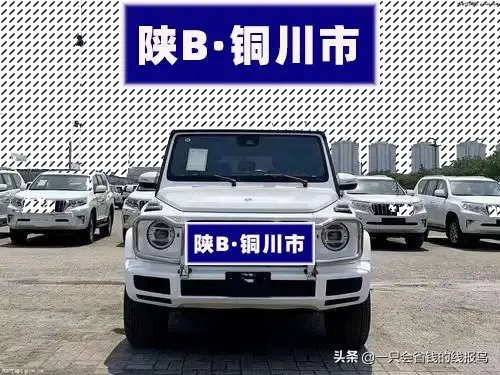 陕西省汽车牌照按照字母排序