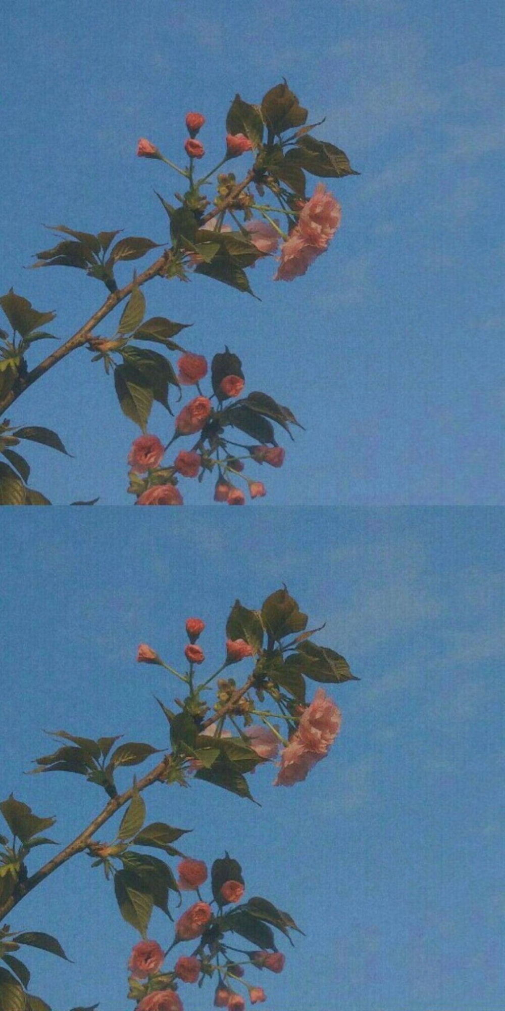 听说你喜欢蓝色——蓝色系壁纸句子分享