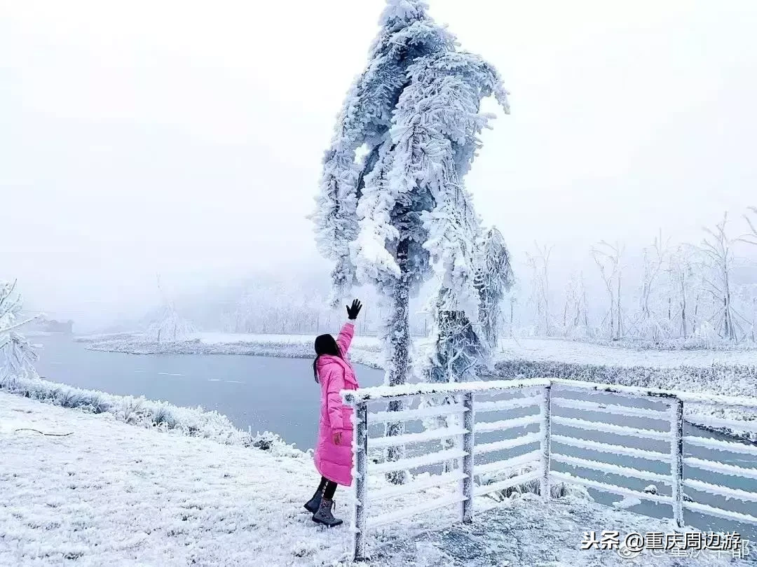 恭喜重庆又喜提一个4A景区！风车云海、日出星空，元旦去还可耍雪