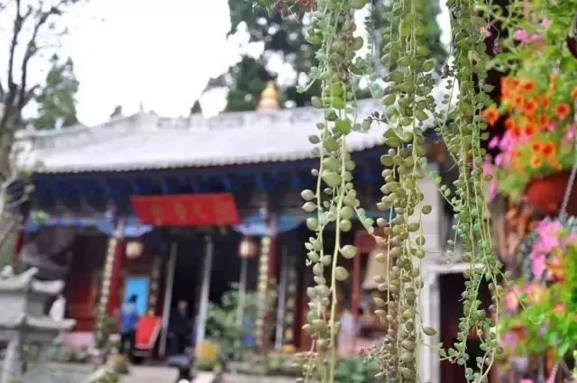 最美的尼姑庵，不烧香只种花，看一眼就想出家