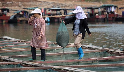 河蝦圖片,河蝦圖片大全