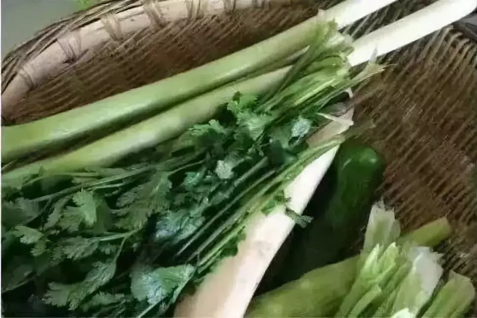 四川民族学院落户泸定！而我们却把青春留给了姑咱的风和大渡河！