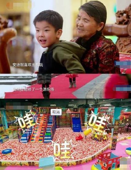 巨力集团杨子爷爷身份 杨子的暴富发家史和他感情生活图片