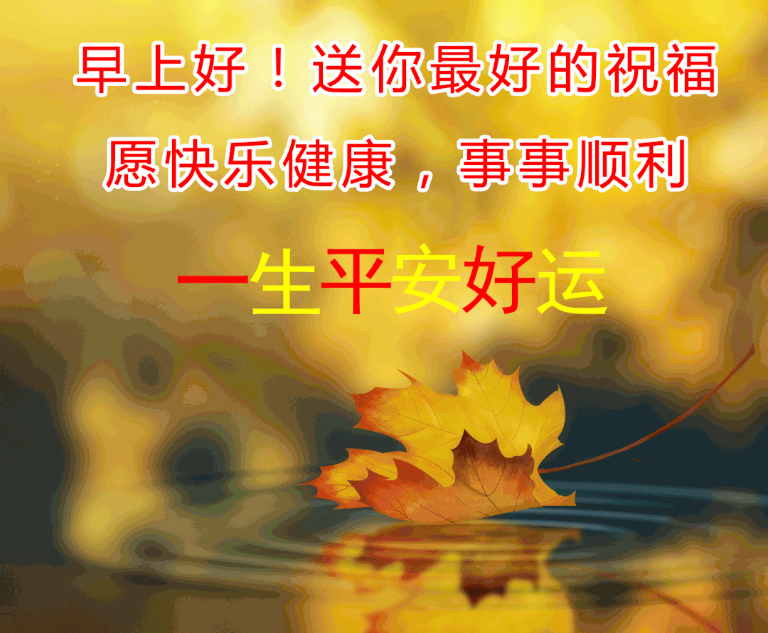 适合发朋友圈的最新早安语录图片