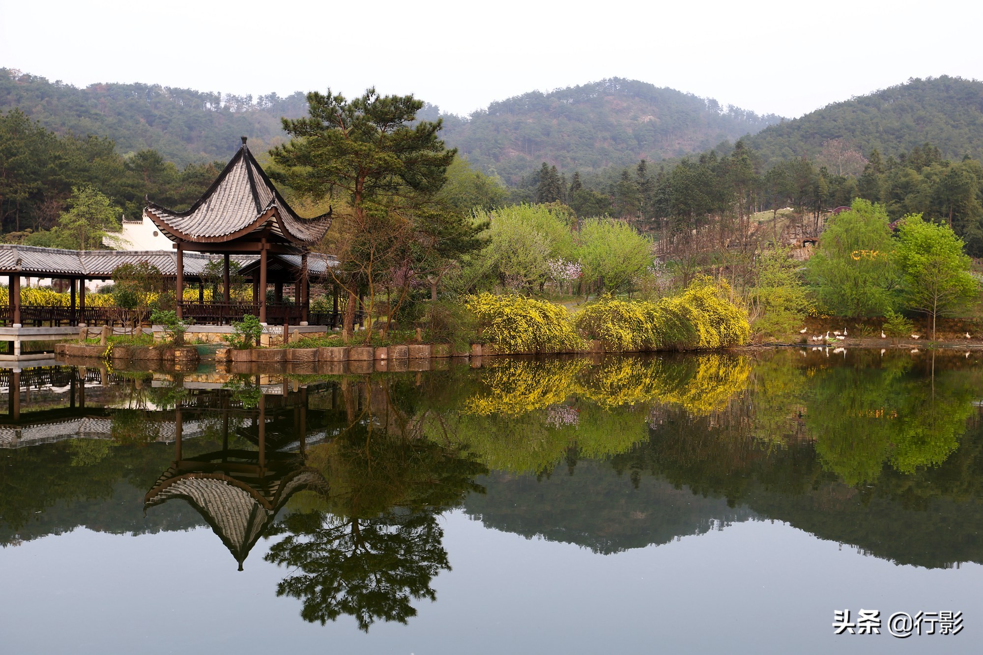 湖北也有一个桃花源般的仙境，就在武汉郊外，去寻找诗和远方