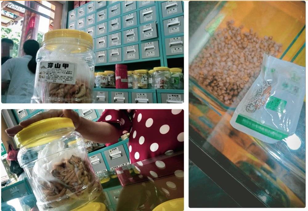 男子收购穿山甲鳞片治病，获刑3年6个月，为什么有人吃“指甲”？