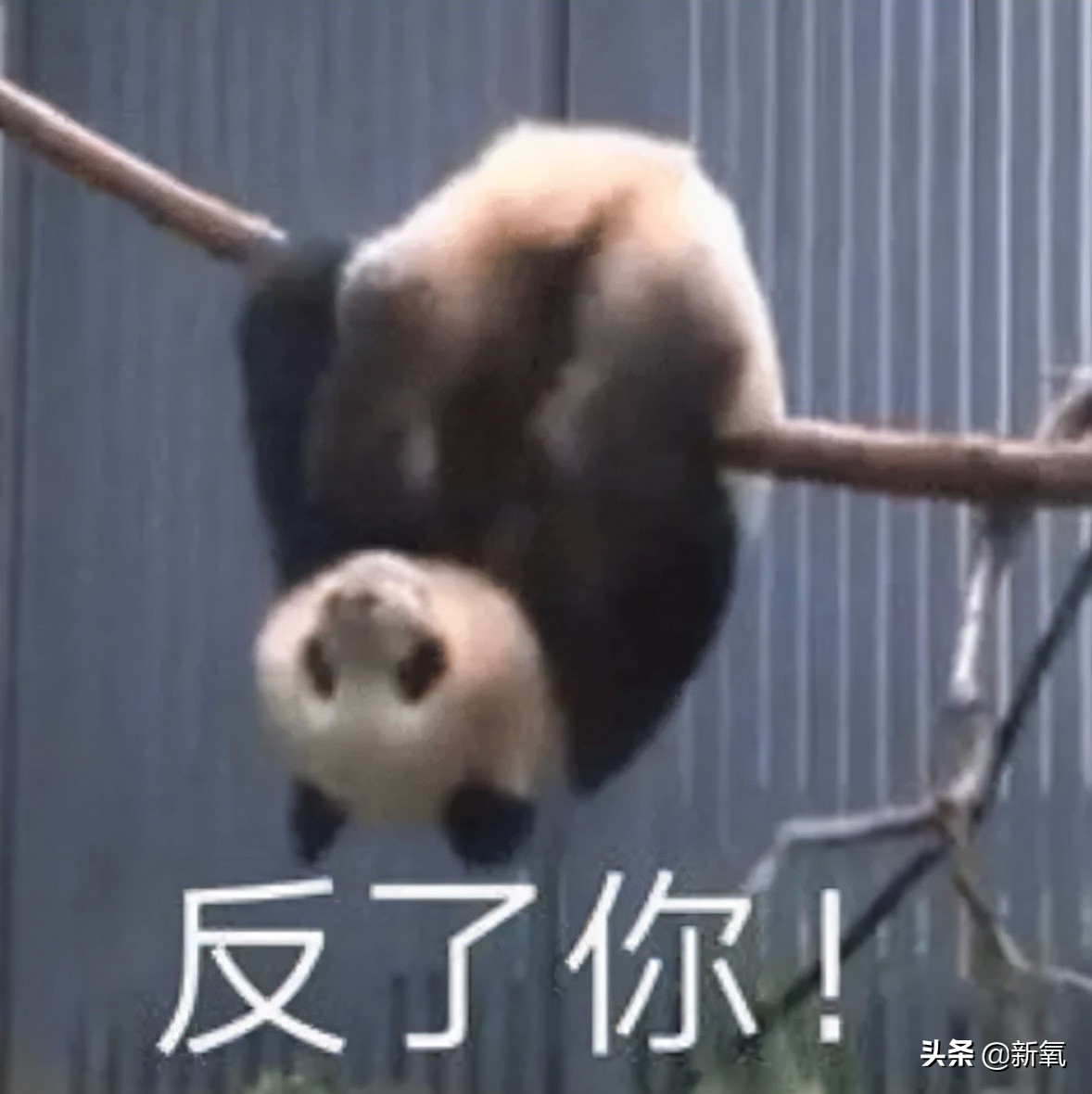 互联网，随时随地可以发现新帅哥