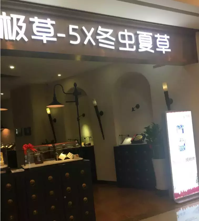 10年20倍,一千克28万!起底冬虫夏草:一场中国式的骗局