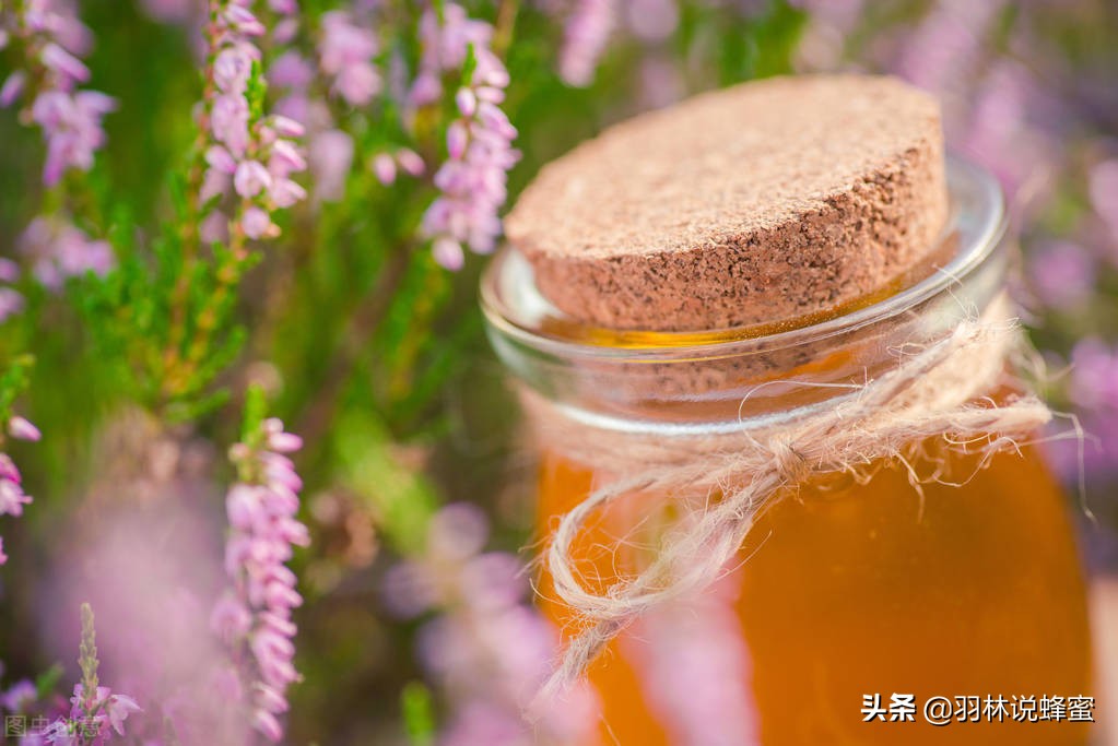 蜂蜜很多种如何选择?买哪种蜂蜜比较好?老蜂农教你几个有效的方法