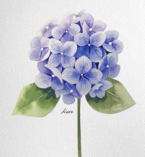 一看就会,一画就废?戳这里,教你简单轻松3步练好水彩植物花卉