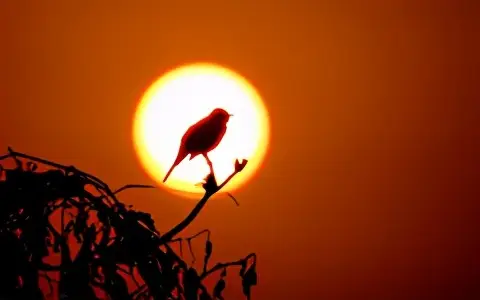 简短的山海经小故事（10篇）