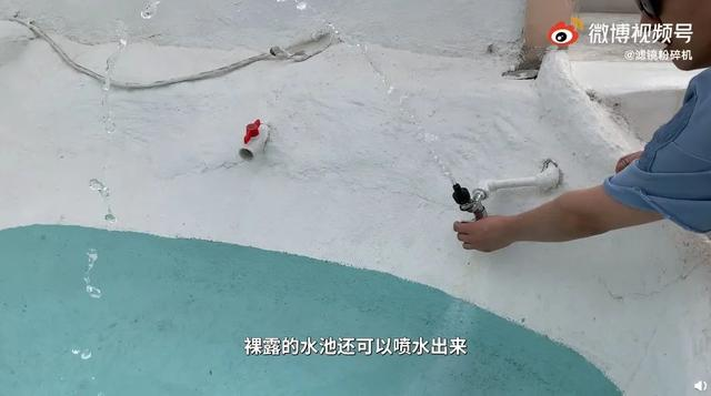 神秘的东方种子，让亚马逊上的中国卖家被团灭