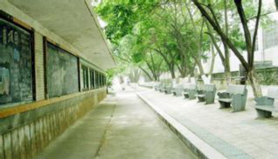 2019年赣州南康三中高考喜报