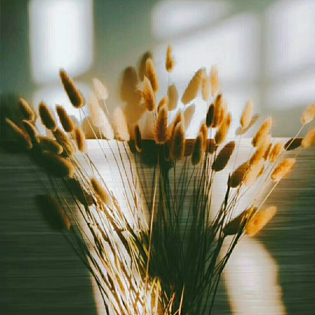 远离是非，拒绝背后议论他人