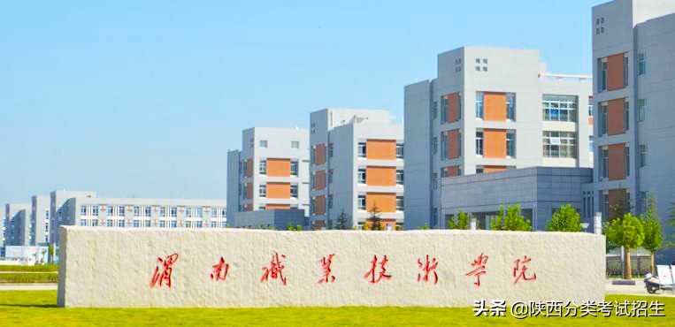 渭南职业技术学院2020年示范高职院校单独考试招生章程