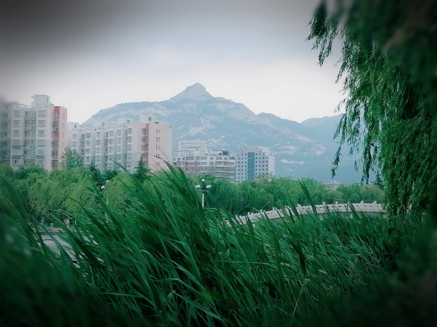 作文结构的几种类型，你知道吗？