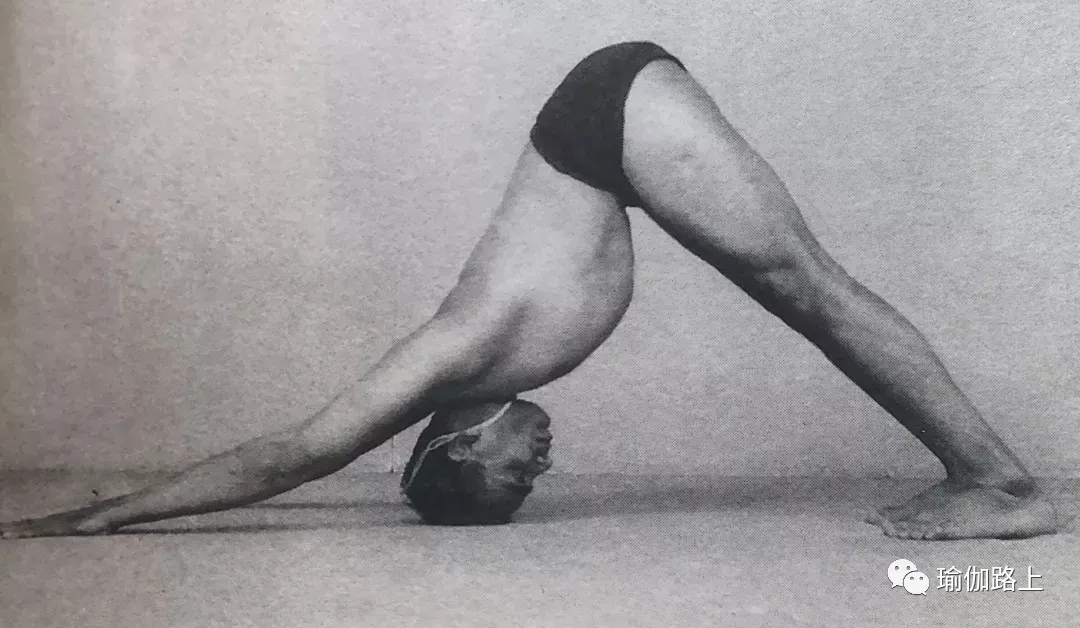 艾扬格密集一 | 32 个经典体式 & 2 大呼吸法经典示范图