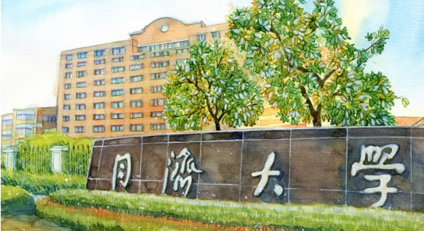 上海这所985“偏科”明显，土木专业是领头羊，综合排名却略心酸