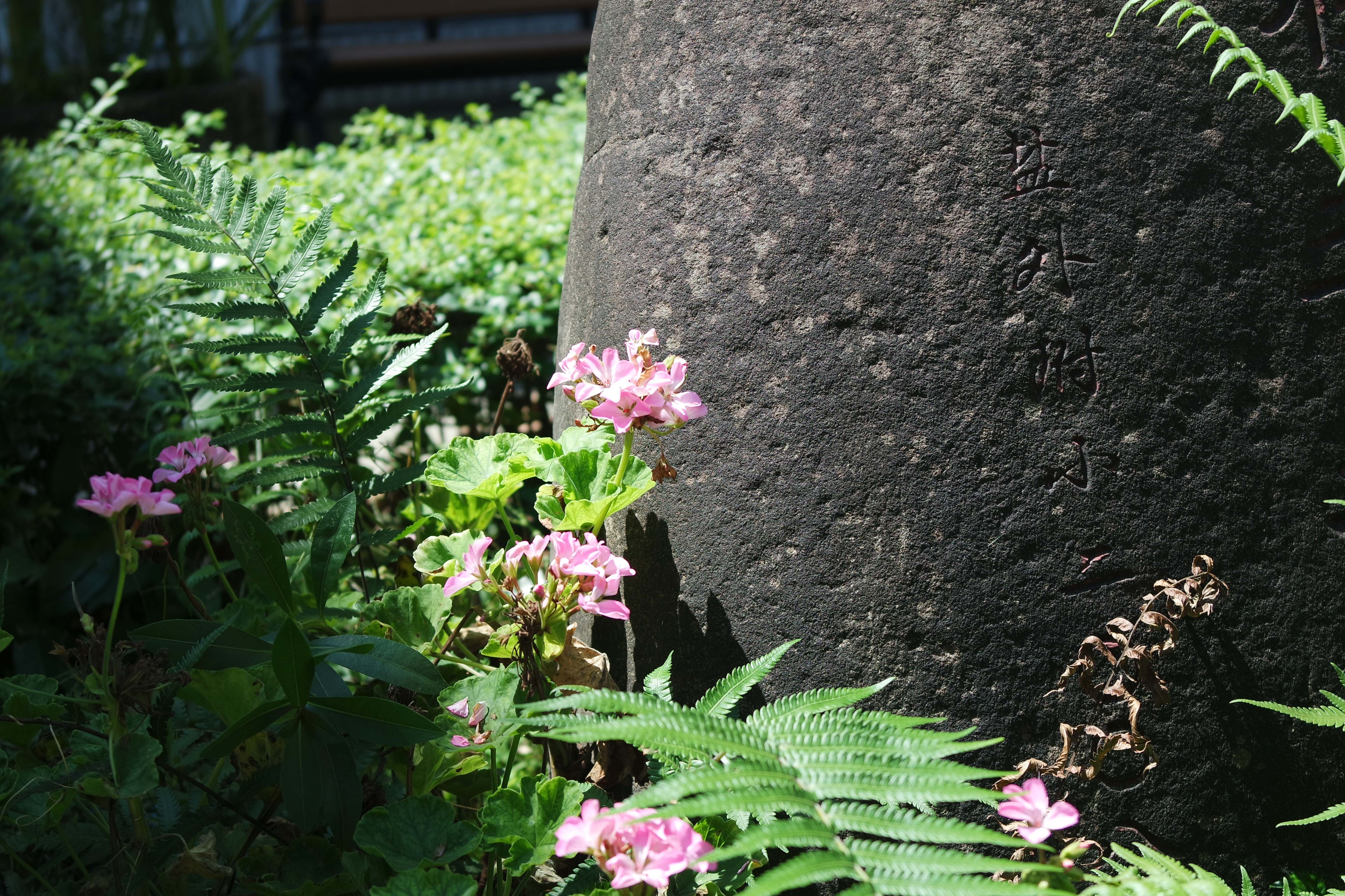 公有民办，关爱若盐——成都盐道街外国语学校
