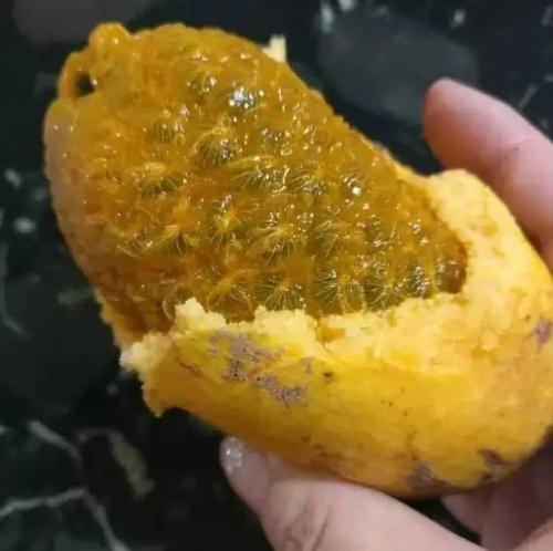 农村老家的牛腰子果野生牛腰子果图片