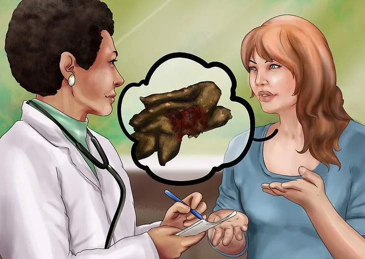 猫咪便血是怎么回事，又是什么导致的？