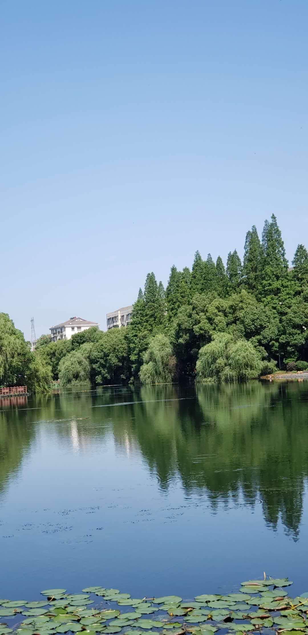 水天一体颂