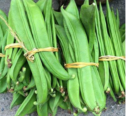 刀豆:硬如石头还有毒,20年前是常见下饭菜,现在市场难见踪影