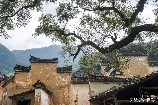 丽水的这座宝藏小县城，隐秘于浙西南的世外桃源