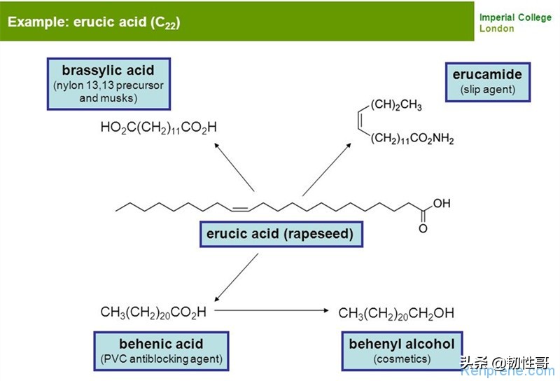 油酸酰胺和芥酸酰胺在塑料和热塑性弹性体中的应用