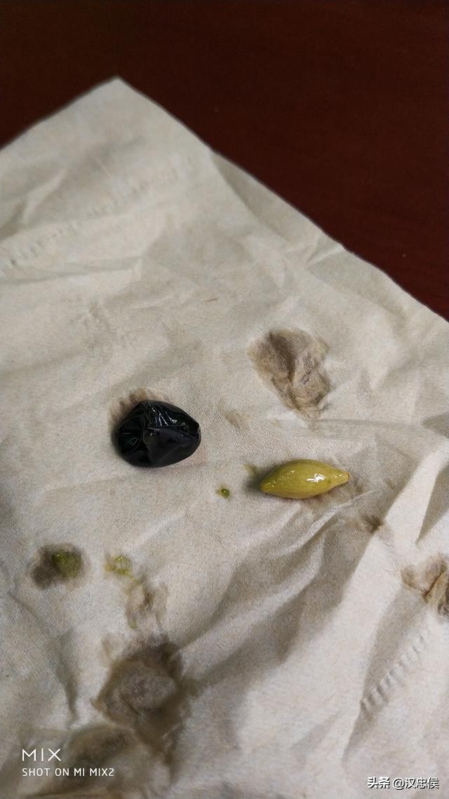 各位不用再试了，这个果子不能吃