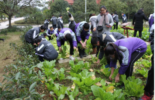 中考将迎来大变化，4门学科即将“开卷考试”？学生开心到起飞