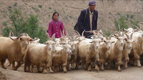 《玉米》：少女自破“处女身”的背后，是乡村“权欲”的肮脏交换