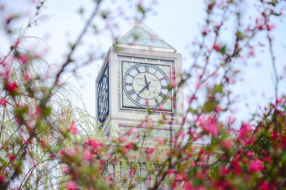 中南财经政法大学在哪个城市（湖北）