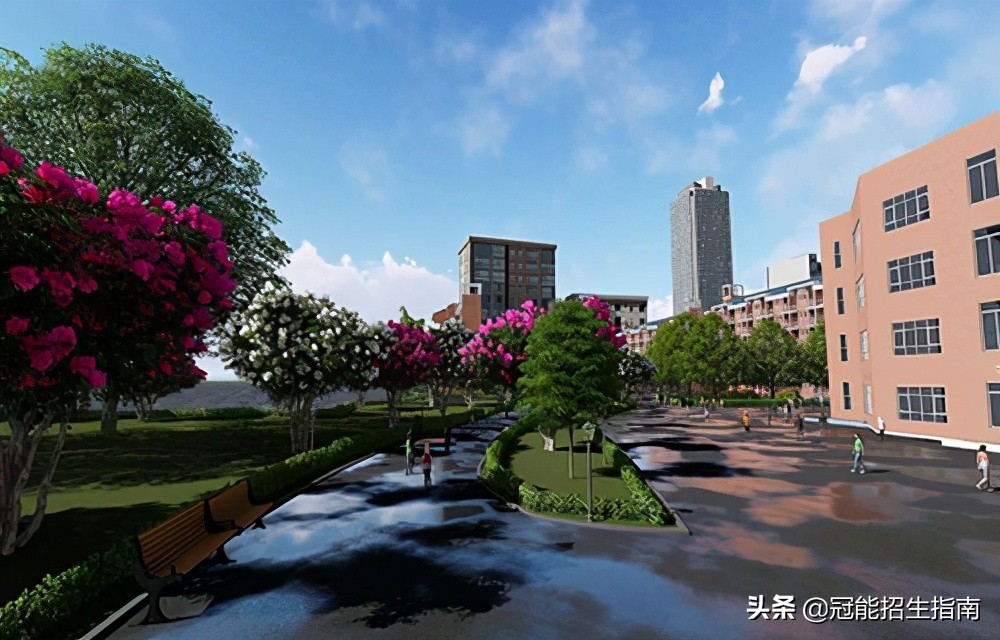不想读初中了—想在成都上职校哪所学校好?