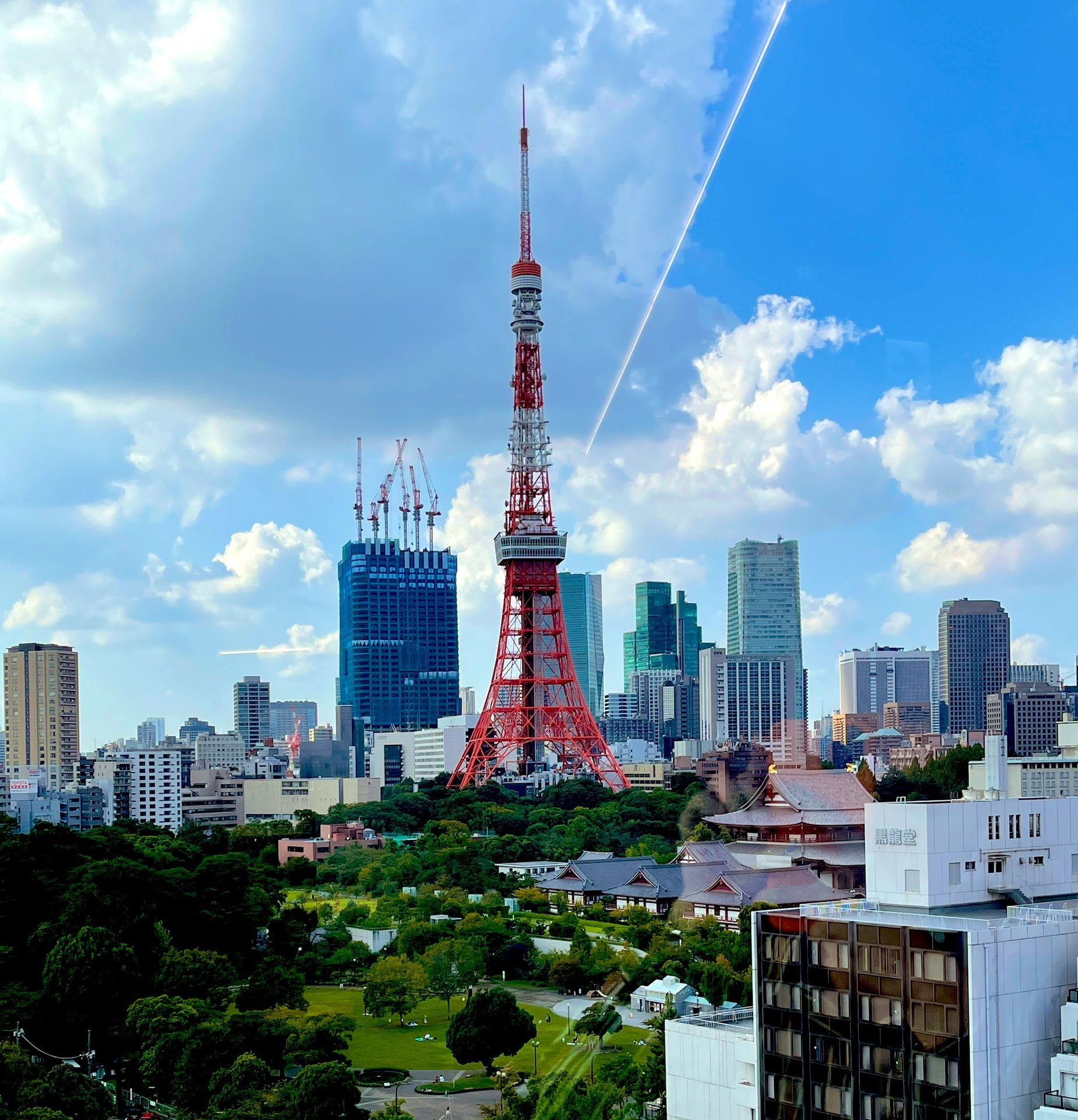 東京千年塔建成沒有(東京千年塔在哪裡)-圖28