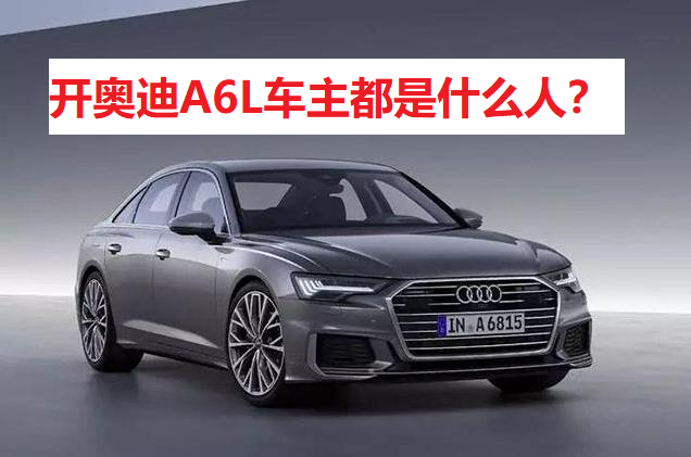 奥迪A6L车主画像：多为30-45岁中产精英，涵盖企业高管、专业人士及成功创业者