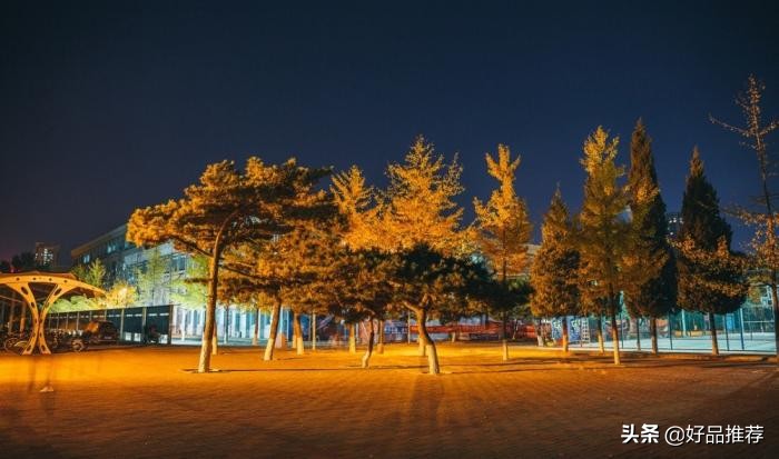 这所985院校的计算机类专业有多香？留学、保研、就业都超棒