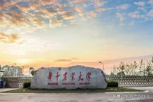 这些茶学专业的高校你知道吗？