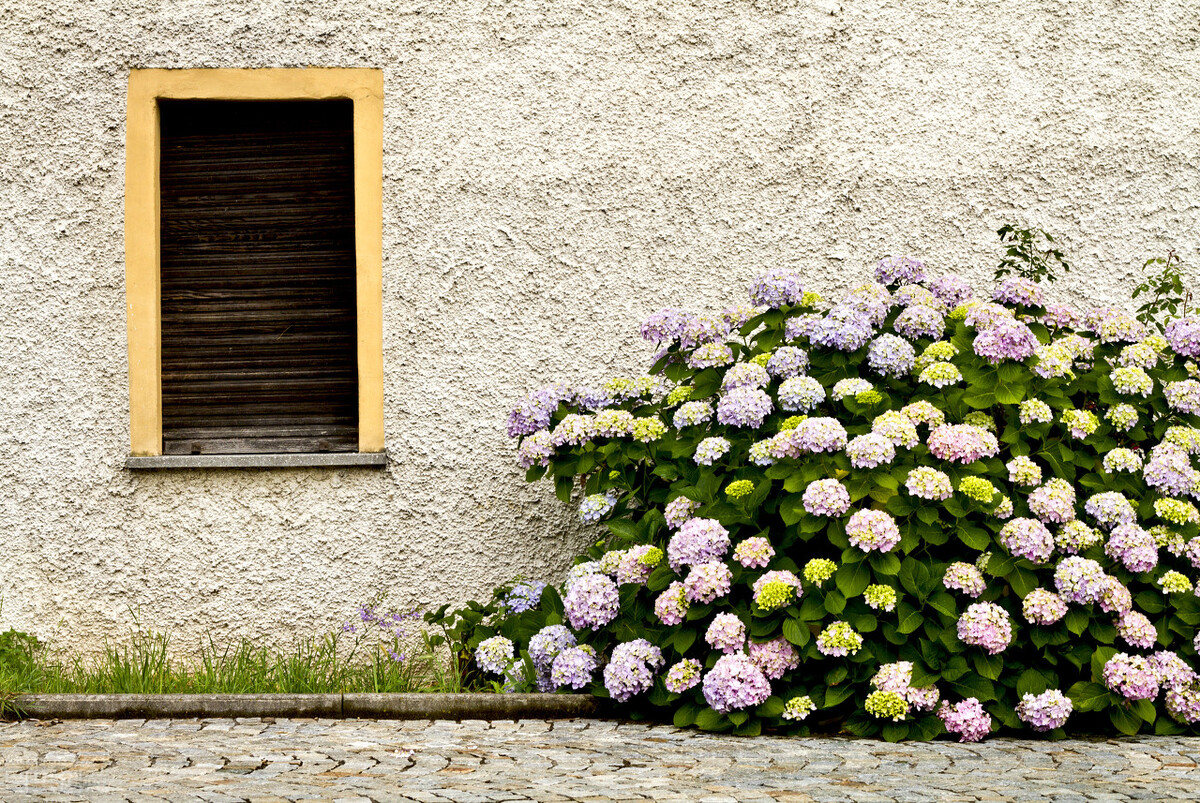 狮子座的许多暖心之举，随性又克制，很容易被忽视