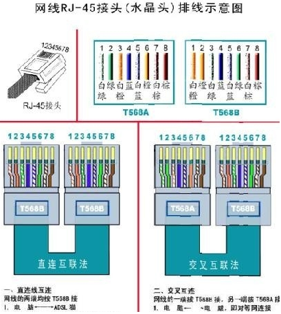 网线排列顺序(电脑网线颜色连接顺序是什么)