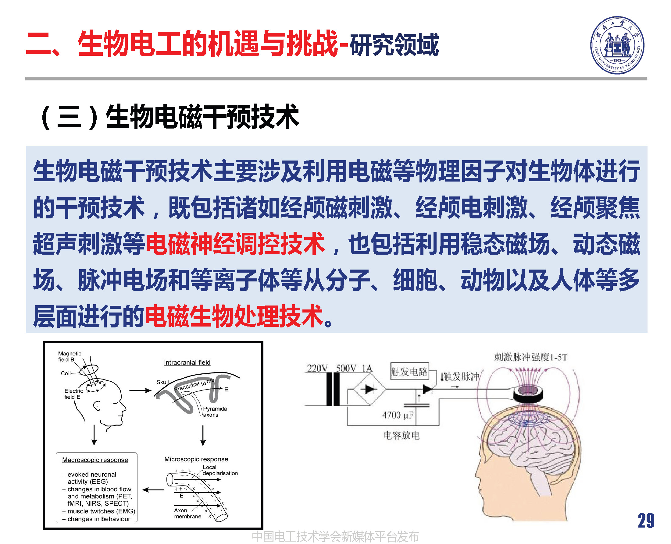 河北工業(yè)大學(xué)徐桂芝教授:大健康背景下生物電工領(lǐng)域的機(jī)遇與挑戰(zhàn)