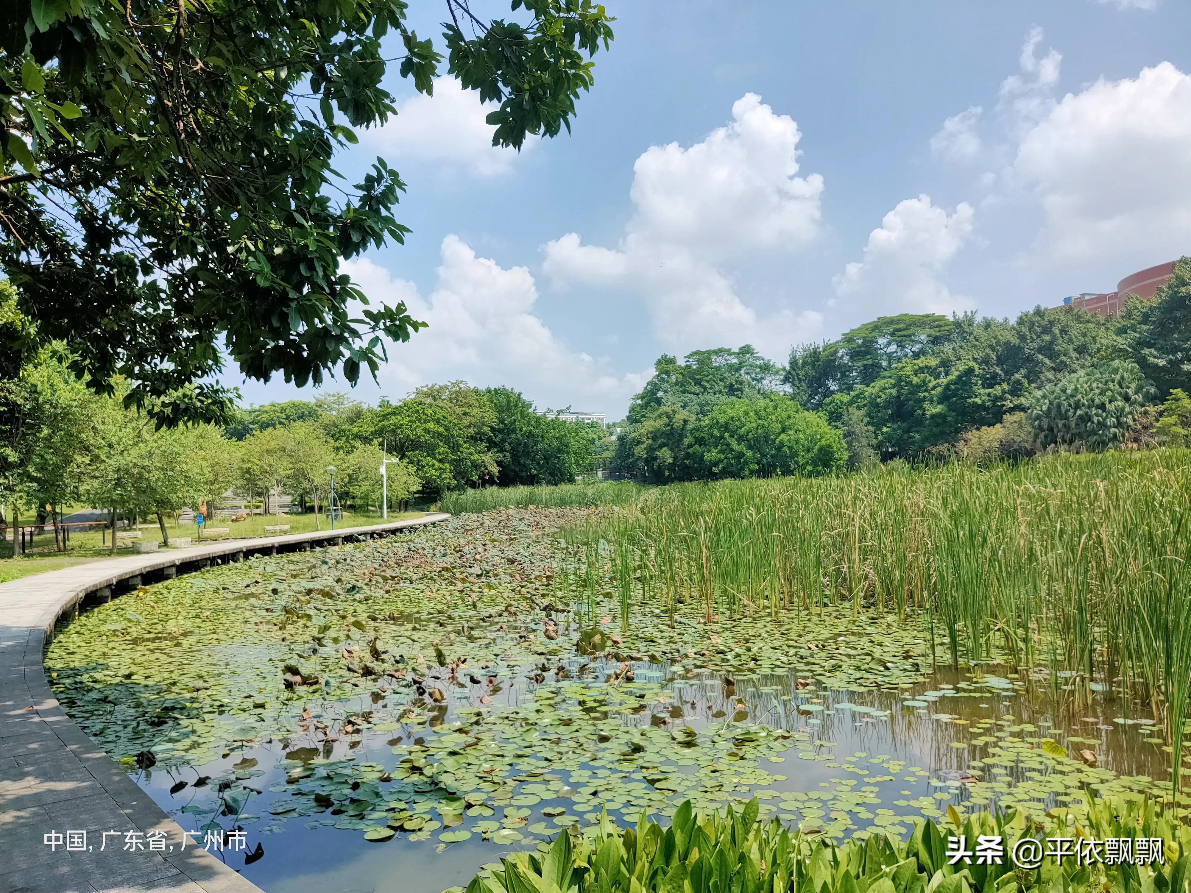 华南农业大学有五湖，一日能游完吗？