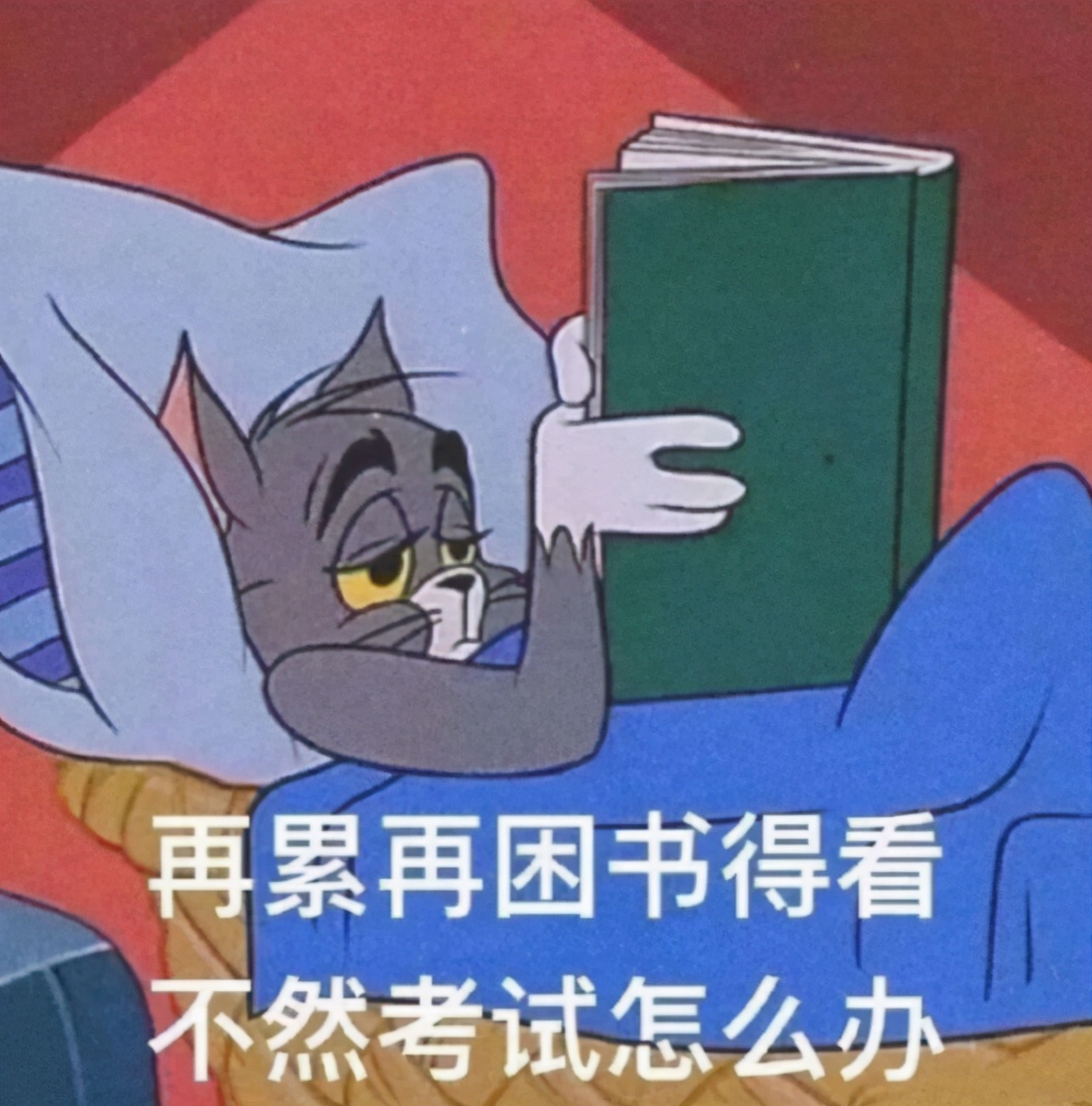 高考成绩500和600分，学生的“差距”到底在哪里？资深老师说实话