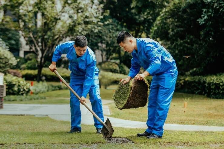 善居计划｜全方位解决&ldquo;养护&rdquo;难题，龙湖社区焕发活力