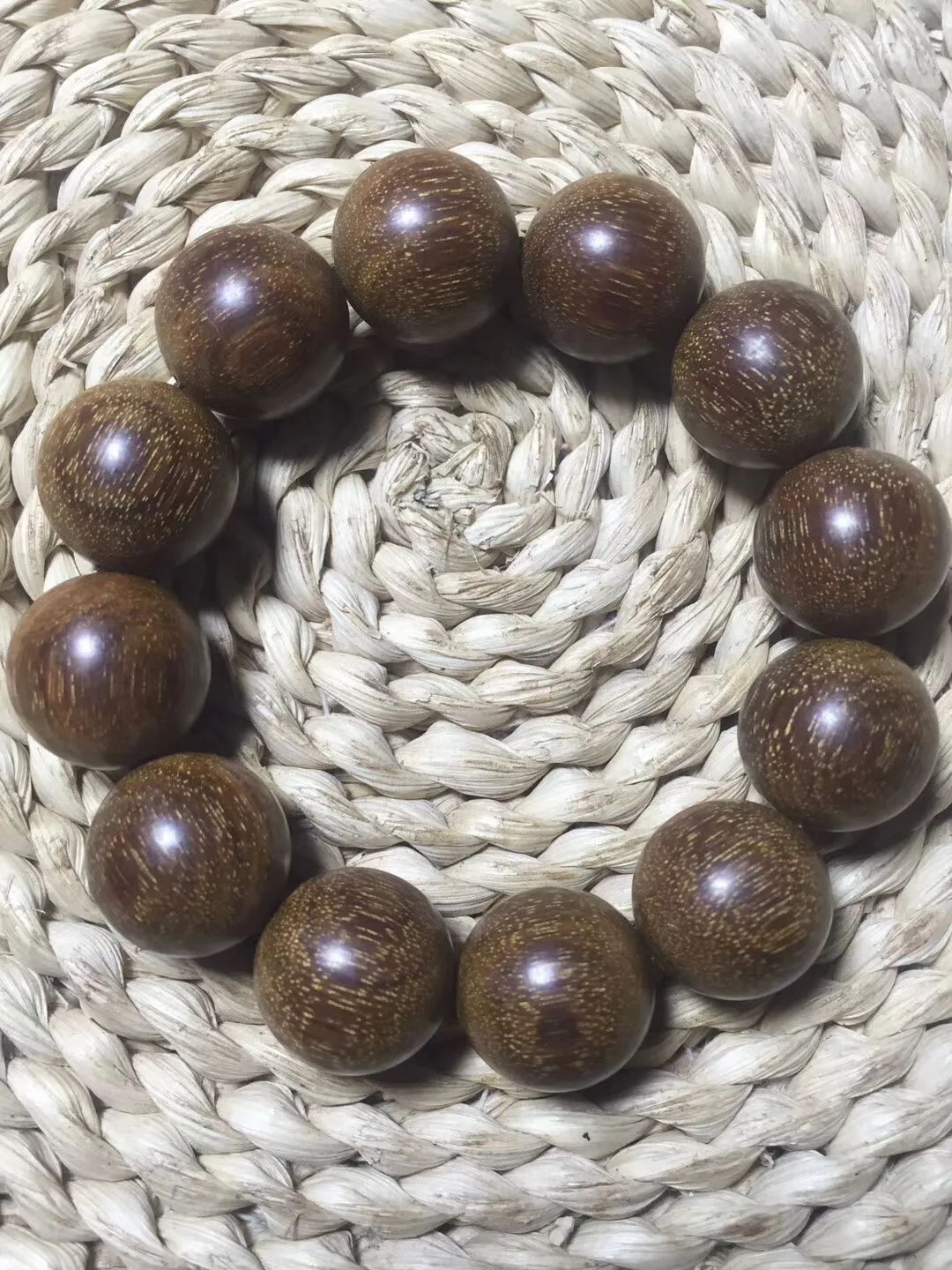 速看贡木功效与作用(巴布亚贡木的介绍与图片)