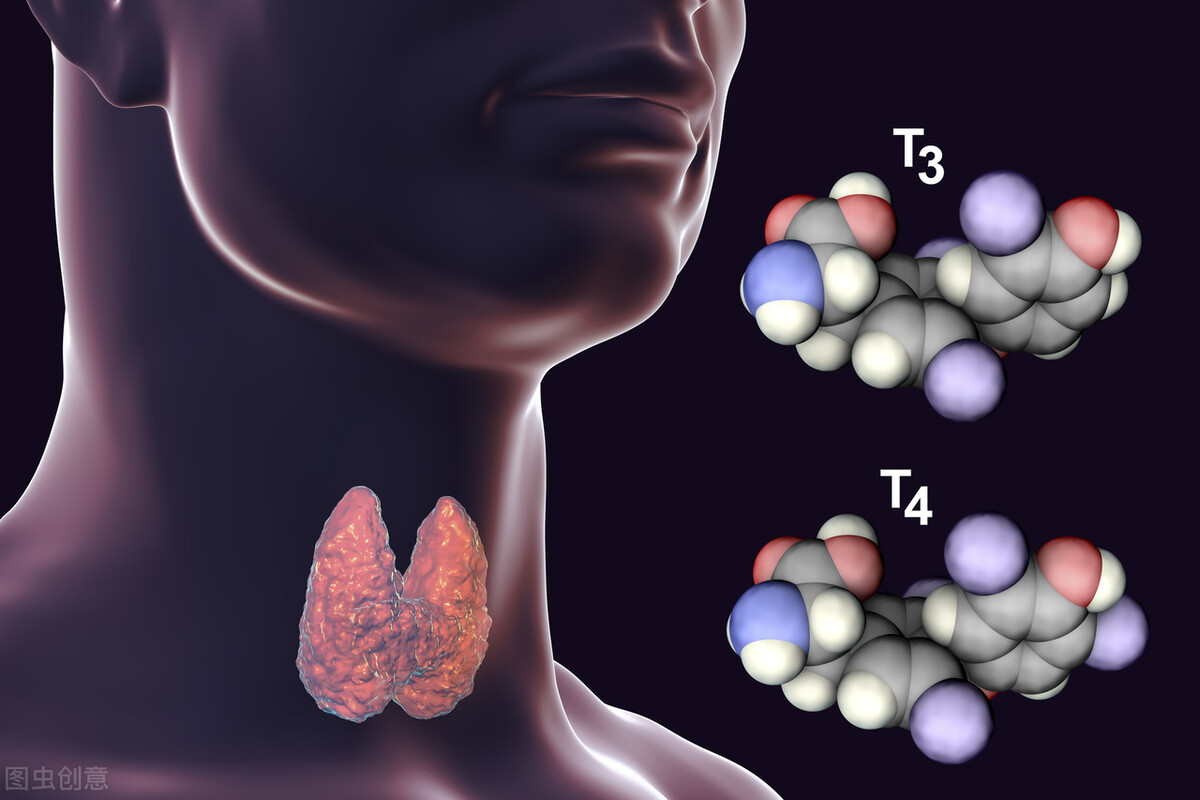 甲状腺功能检查及抗体检查，各项指标分别有啥含义？医生讲一讲