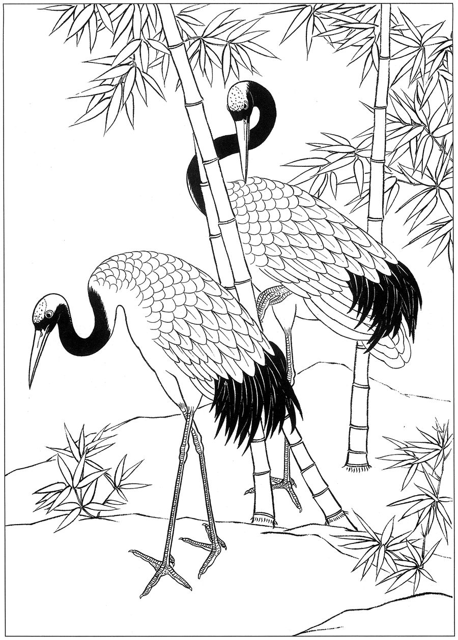 仙鹤高清白描线稿图片下载19幅