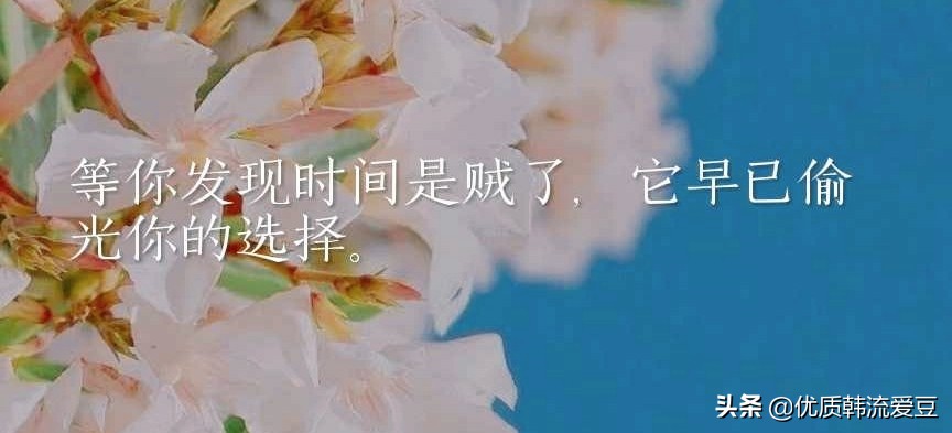 初见怦然心动的句子，字字如风拂心弦，温柔击中灵魂的瞬间