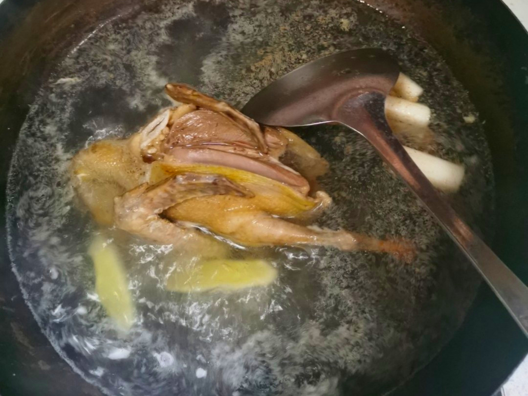鴿子燉湯,鴿子燉湯怎么做好吃